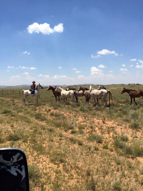Вилла Garingboom Guest Farm Springfontein Экстерьер фото